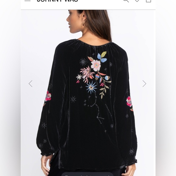 HP๐ JohnnyWas Velvet top  ๐บ๐ธ - Picture 6 of 16